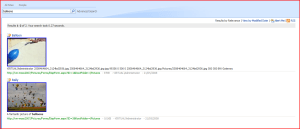 Results page showing Thumbnails.