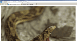 image Original Image