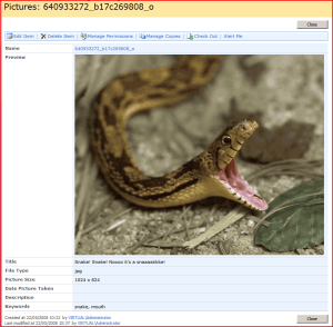 preview Picture Preview Page