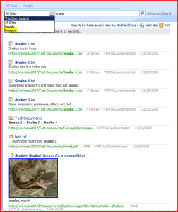 Search results showing document and images