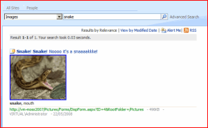 Search Results with only Picture items