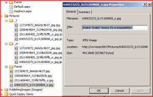 spd-image Sharepoint Designer view of a Picture Library 2