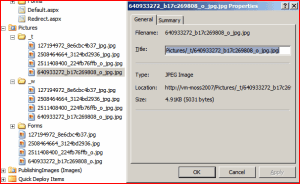 Sharepoint Designer view of a Picture Library