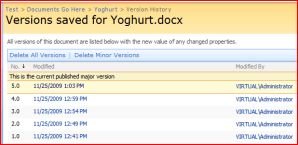 Version History Page