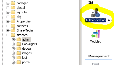 Authentication Settings
